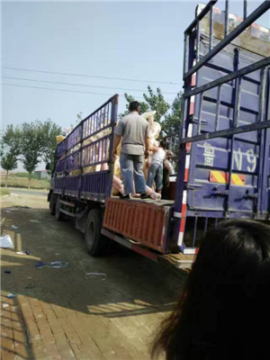 戶外健身路徑器材裝車